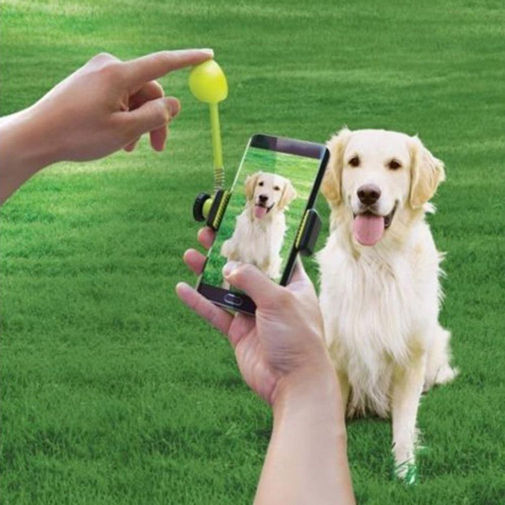 Dog Treat Launcher Dog Selfie Stick Happy Paws Online 