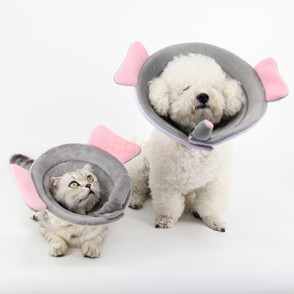 Elizabethan Recovery Collars Dog Recovery Cone Happy Paws 