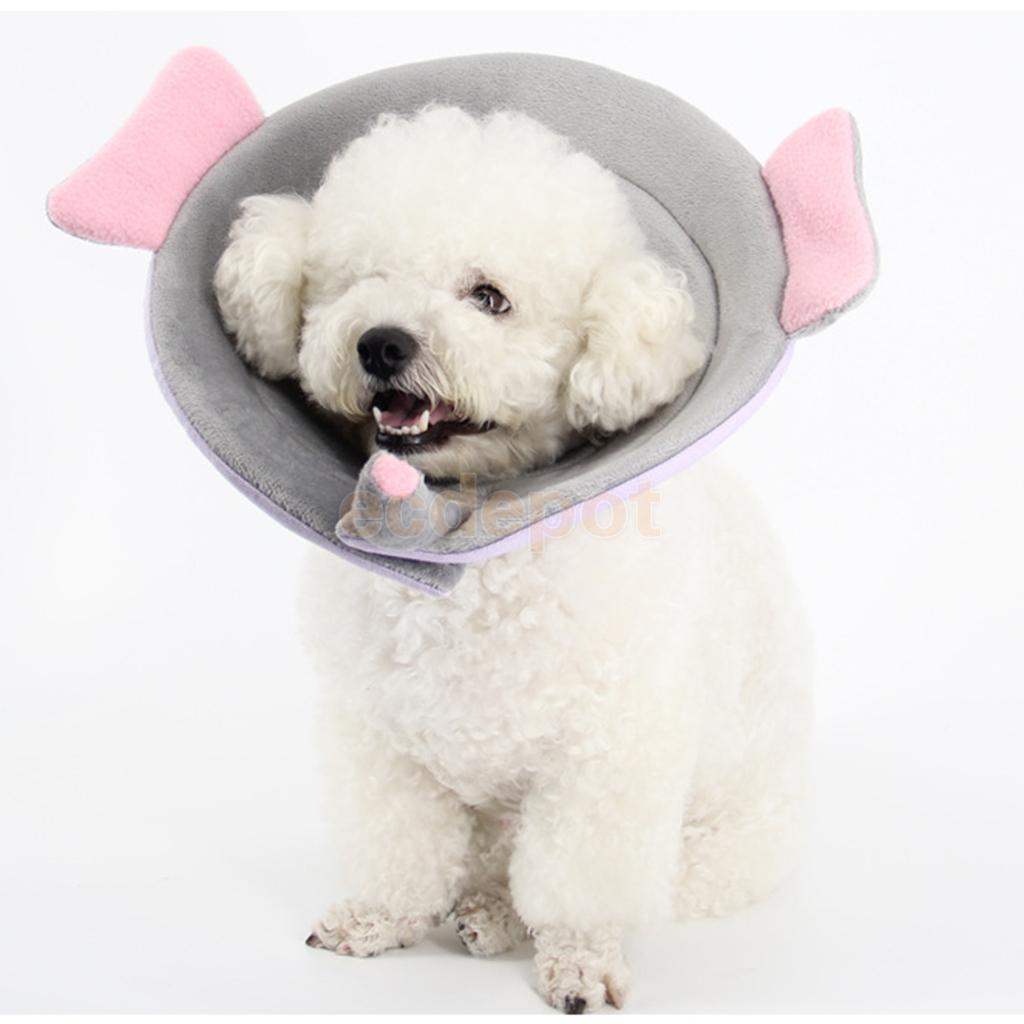 Elizabethan Recovery Collars Dog Recovery Cone Happy Paws 