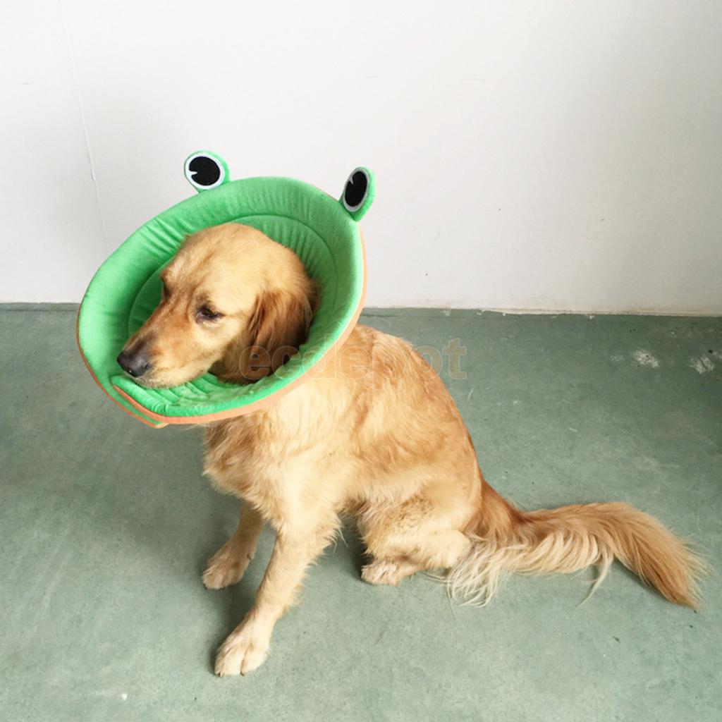 Elizabethan Recovery Collars Dog Recovery Cone Happy Paws 