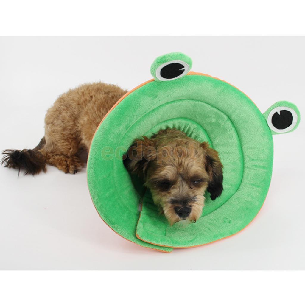 Elizabethan Recovery Collars Dog Recovery Cone Happy Paws 