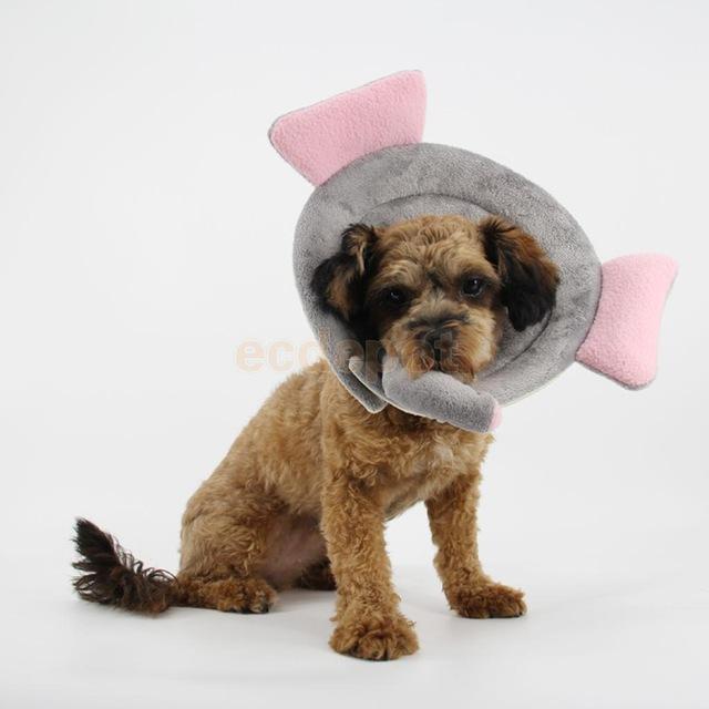 Elizabethan Recovery Collars Dog Recovery Cone Happy Paws 