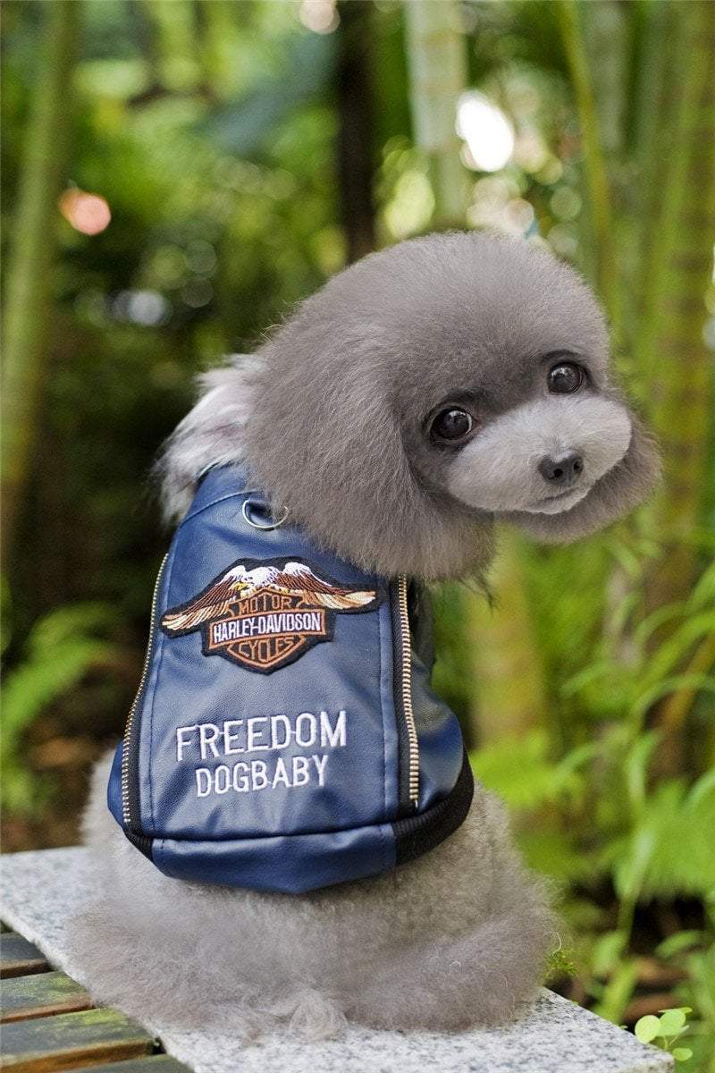 Embroidered Leather Jacket Dog Leather Jacket Happy Paws 