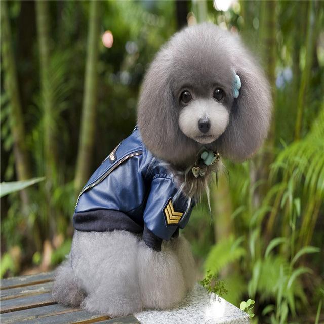 Embroidered Leather Jacket Dog Leather Jacket Happy Paws Blue Small 