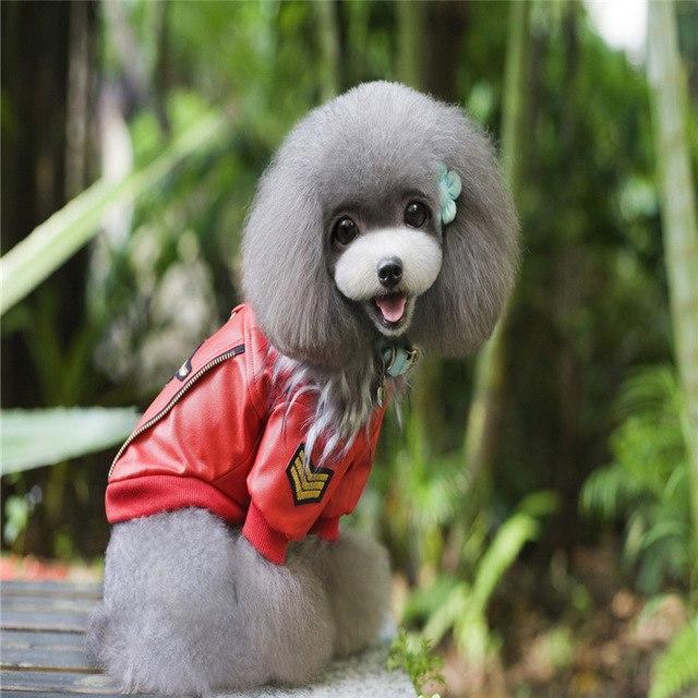 Embroidered Leather Jacket Dog Leather Jacket Happy Paws Red Small 