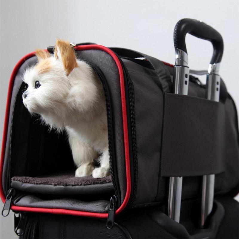 Expandable Carrier & Car Seat.