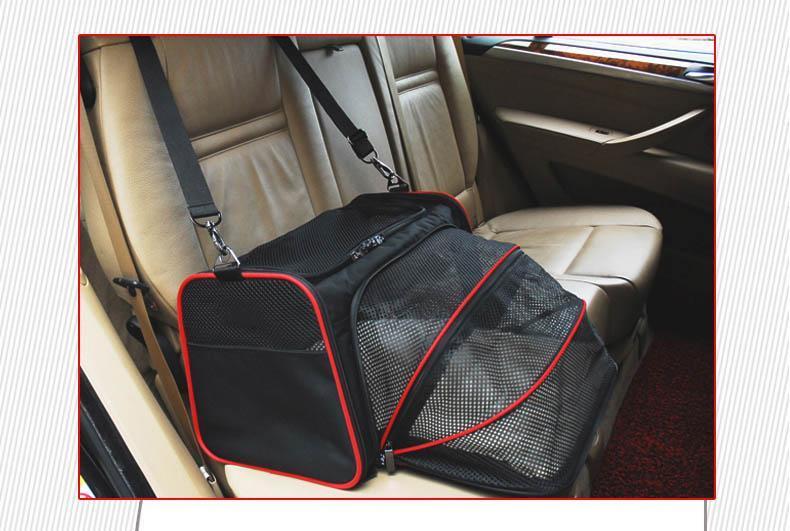 Expandable Carrier & Car Seat.