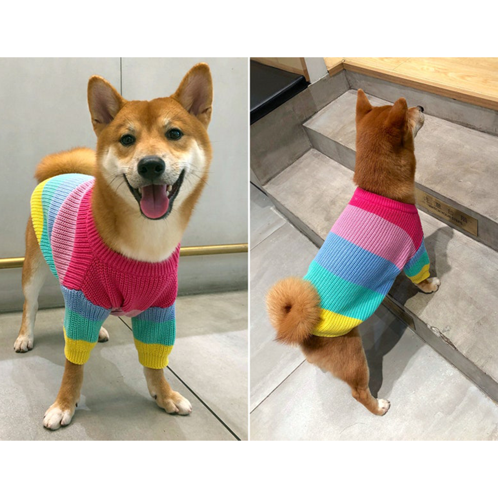 Rainbow Knitwear Dog Sweater