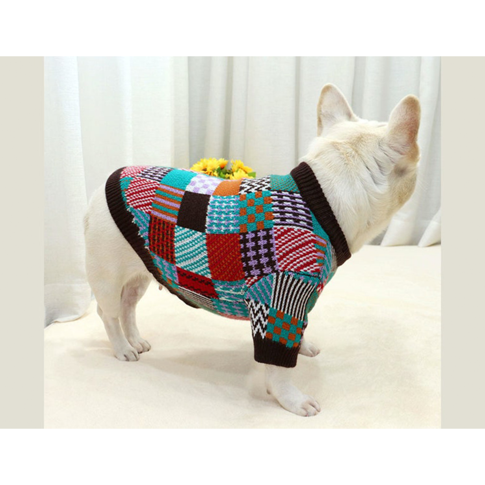 Pull en tricot pour chien