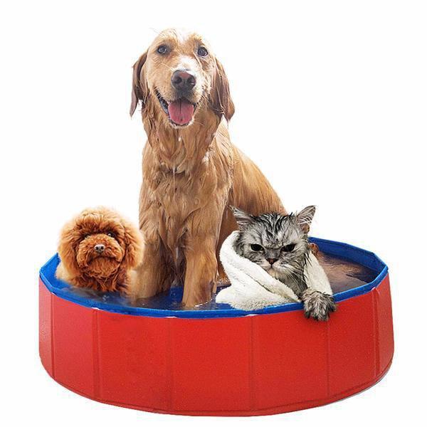 Fold Up Portable Pool Dog Bath Swimming Pool Happy Paws 