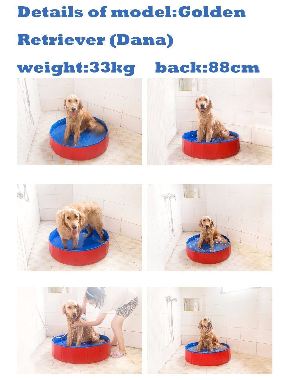 Fold Up Portable Pool Dog Bath Swimming Pool Happy Paws 