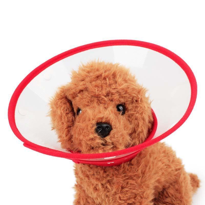 Funky Protective E-Collar Cone Dog Recovery Cone Happy Paws 