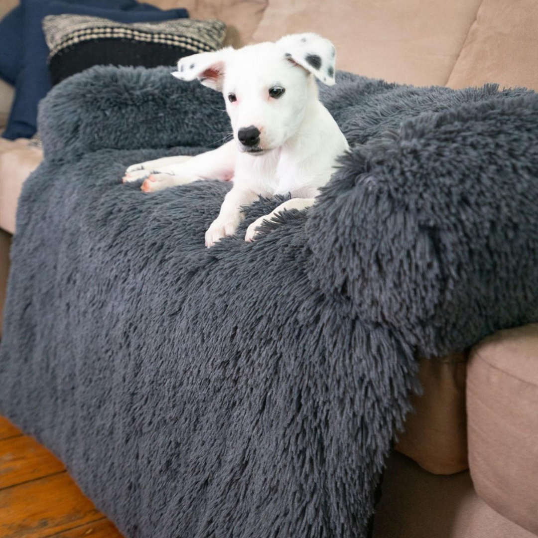 Furniture protector Zen Cloud bed™ Dog Beds Happy Paws Online 