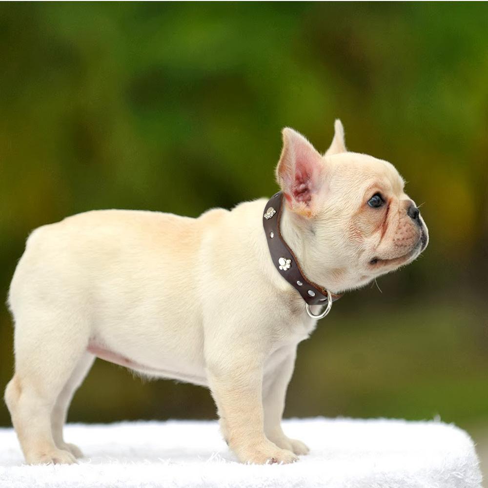 Genuine Soft Leather Dog Collar Dog collar Happy Paws 