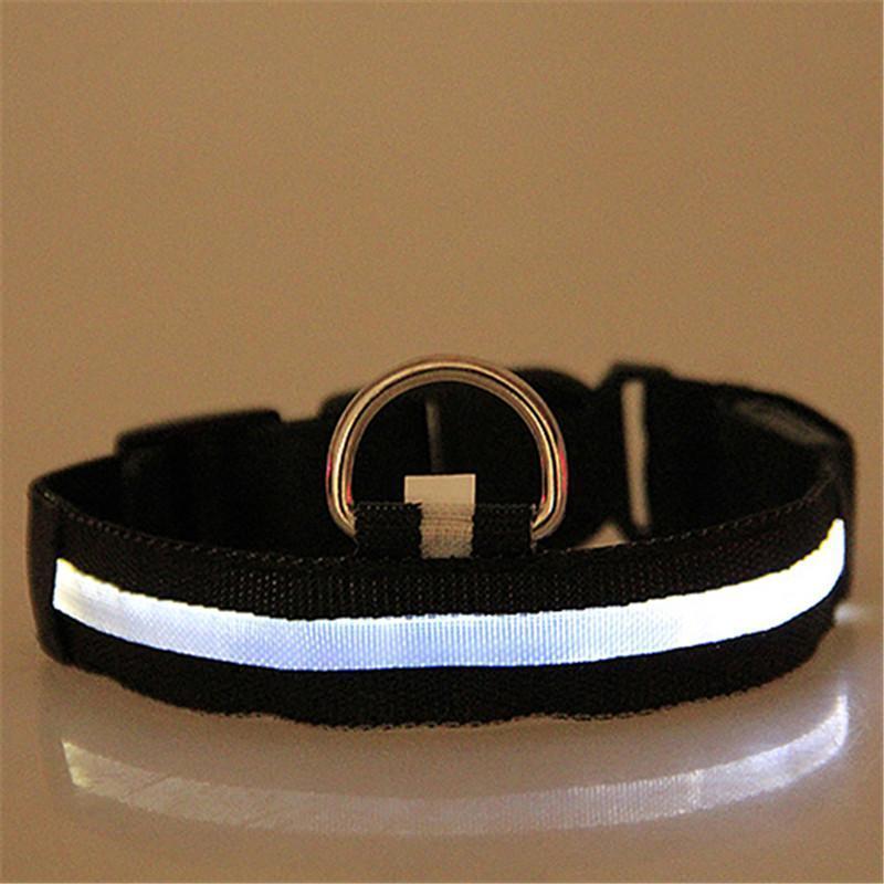 Glow-In-The-Dark LED Collar.