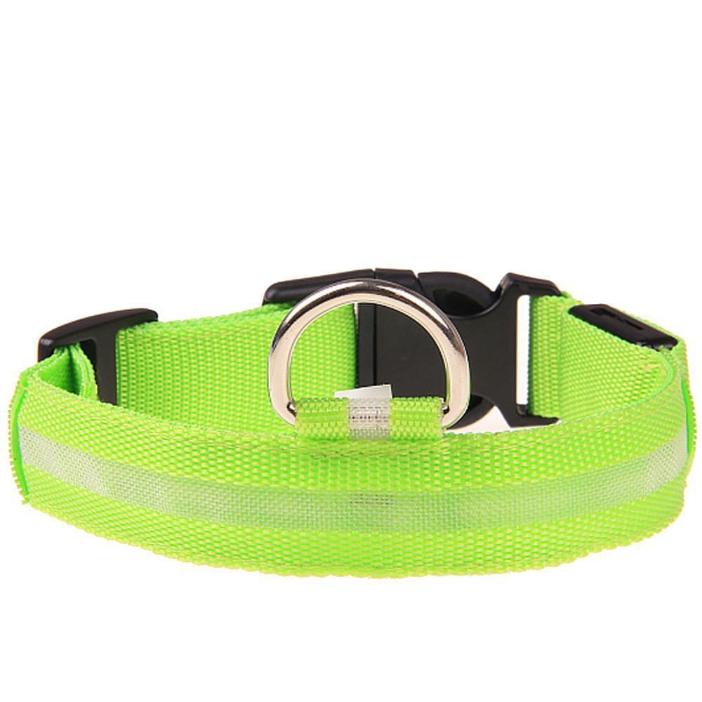 Glow-In-The-Dark LED Collar.