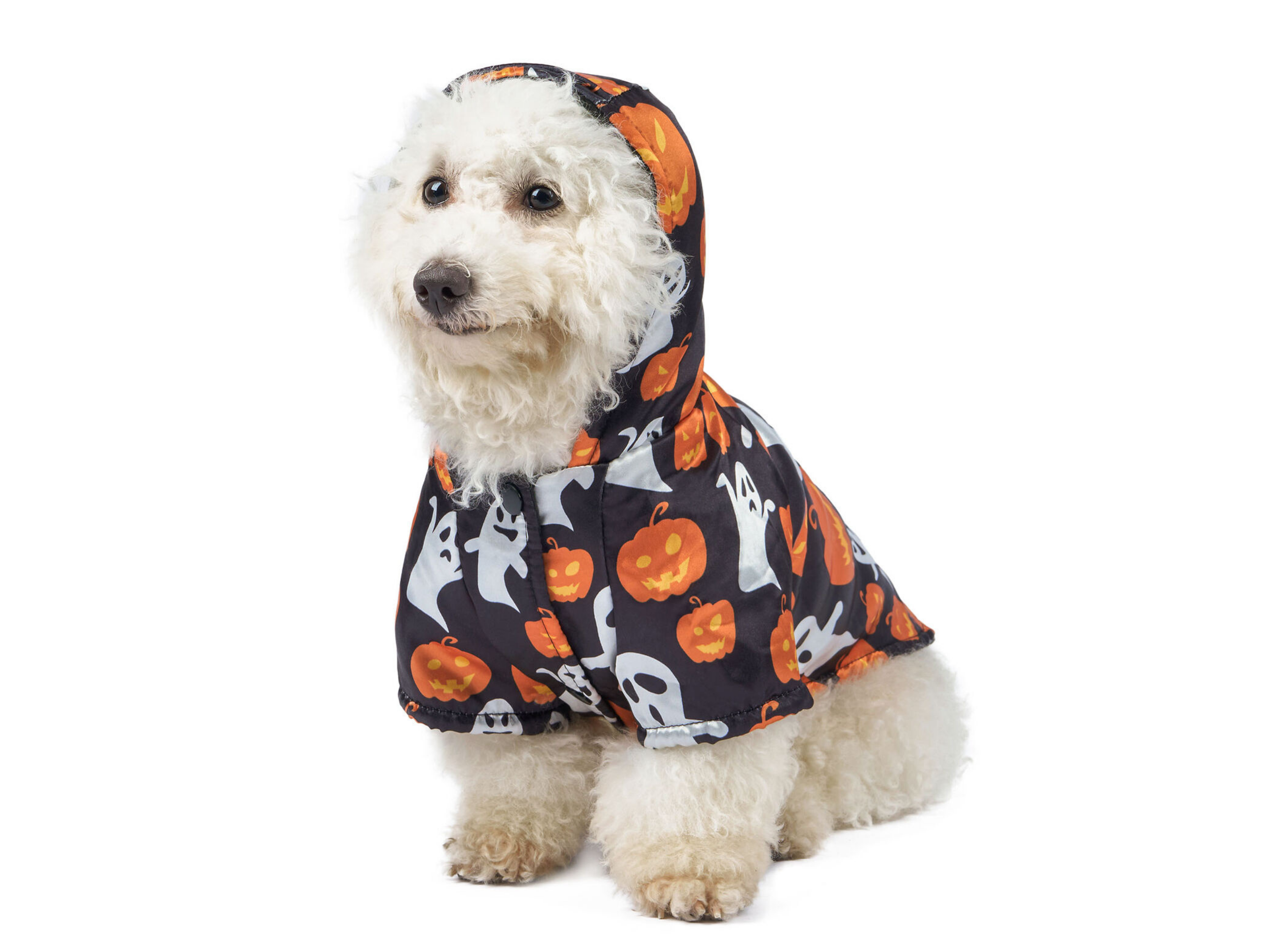 Halloween Hoody Costume Dog Apparel Happy Paws Online 