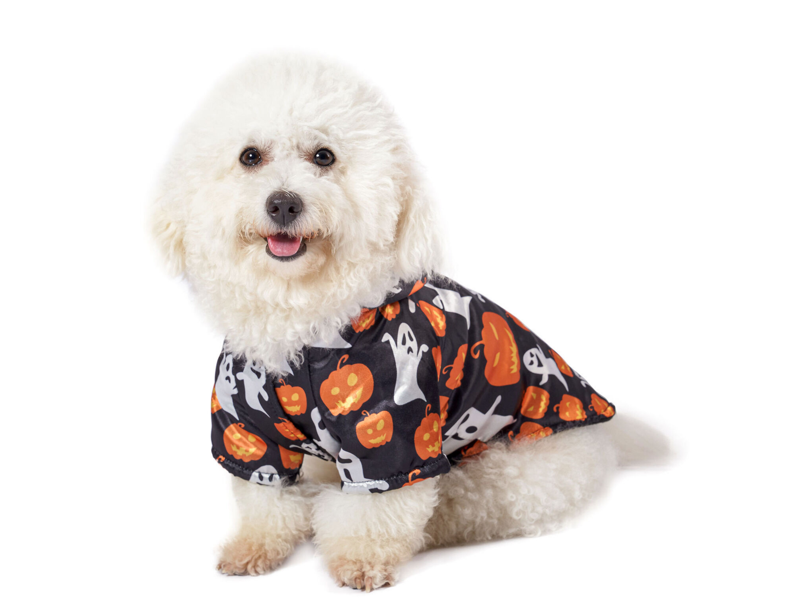 Halloween Hoody Costume Dog Apparel Happy Paws Online 