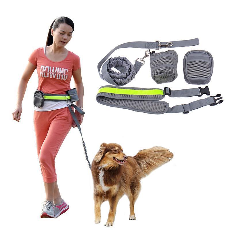 Hands Free Jogging Leash Hands free jogging belt Happy Paws 