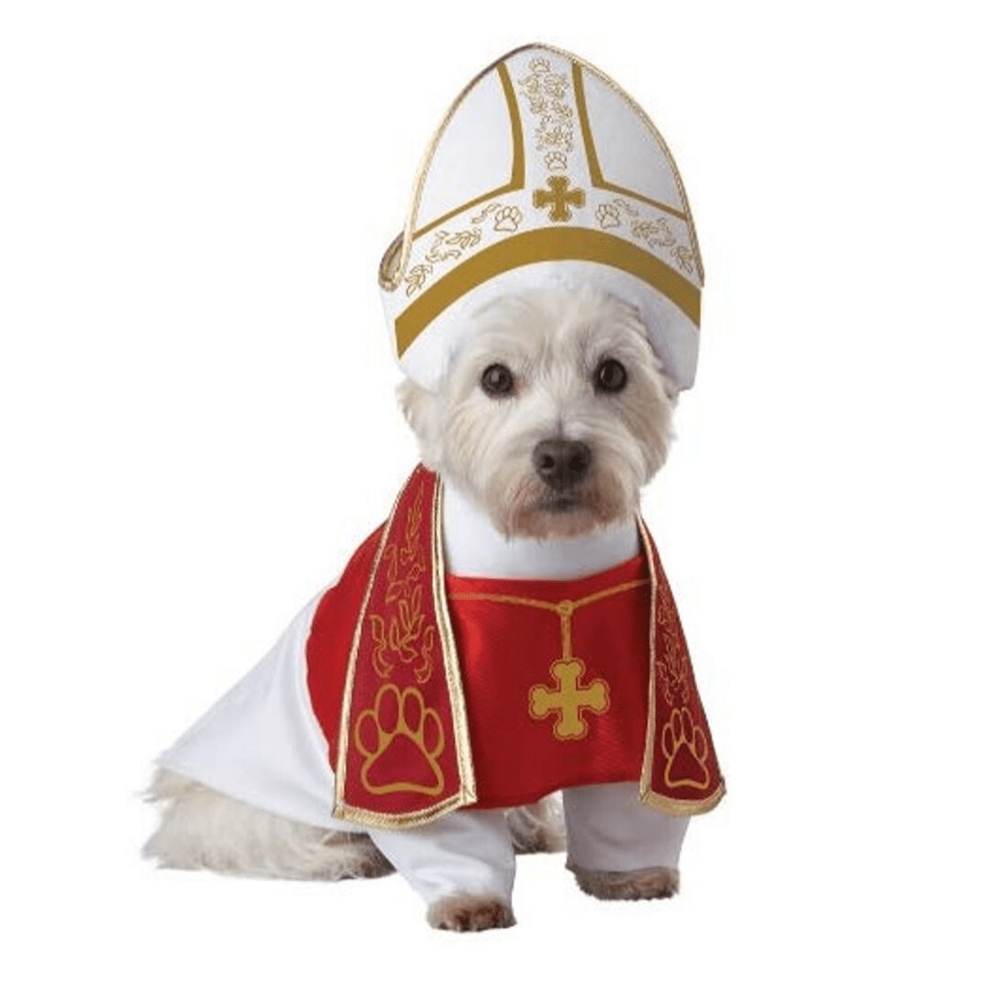 Holy Pope Costume Dog Halloween Costume Happy Paws Online 