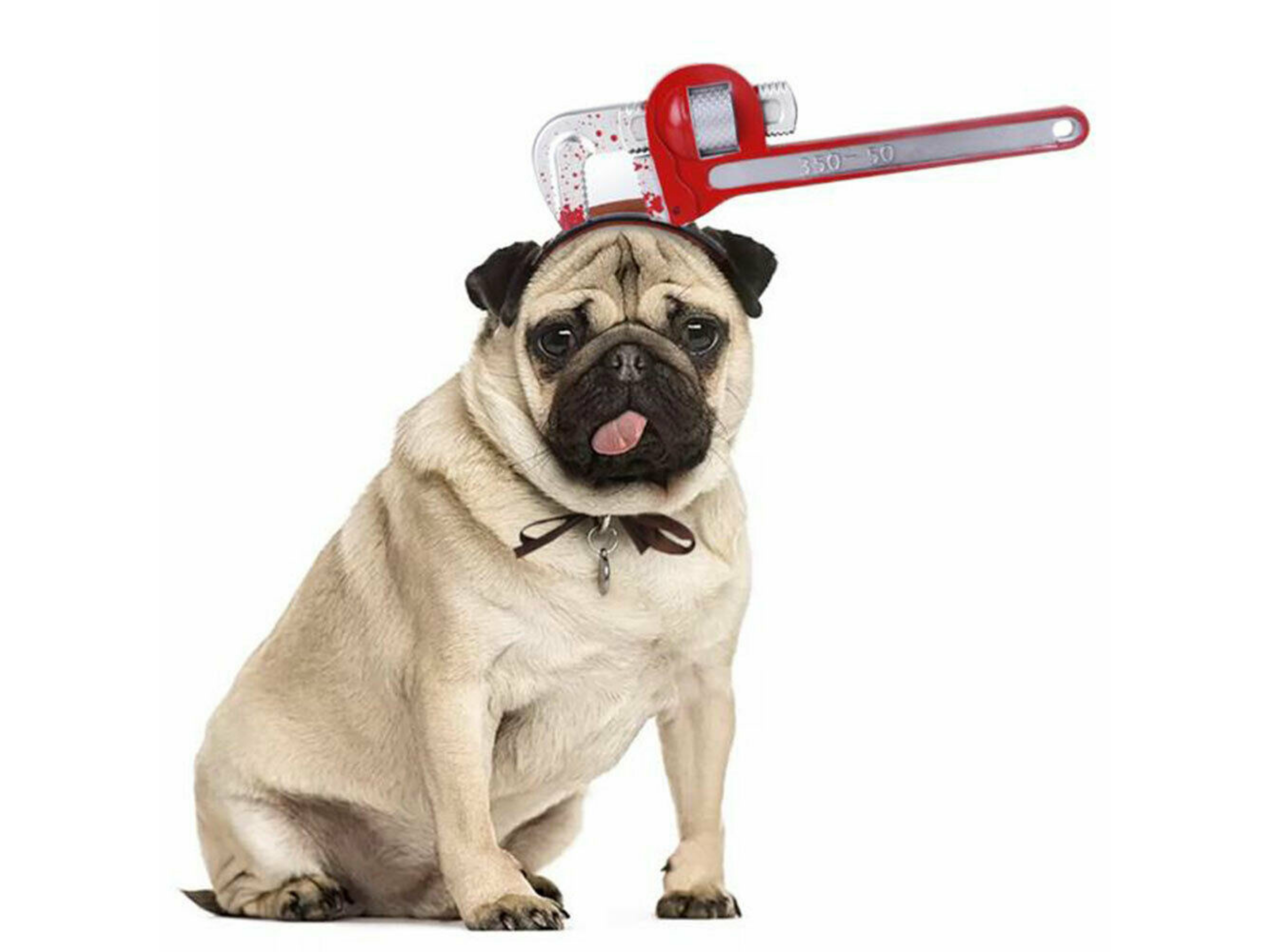 Horror Head Costume Dog Apparel Happy Paws Online S Pipe wrench 