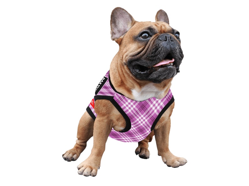 Service Dog Vest