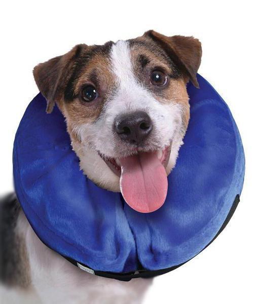 Inflatable Protective E-Collar Protective recovery collar Happy Paws Large 