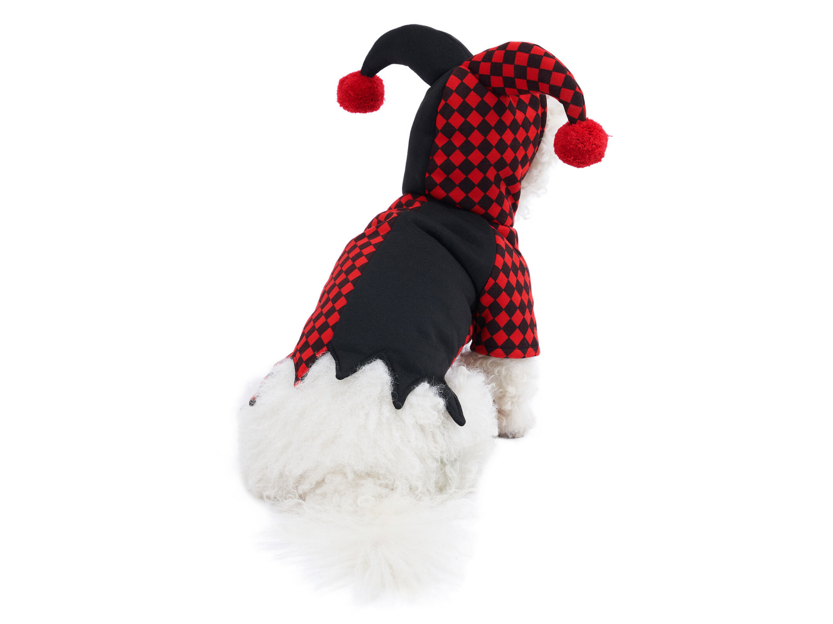 Joker Costume Dog Apparel Happy Paws Online 