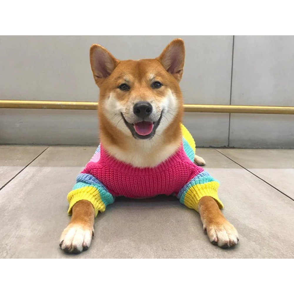 Rainbow Knit Sweater