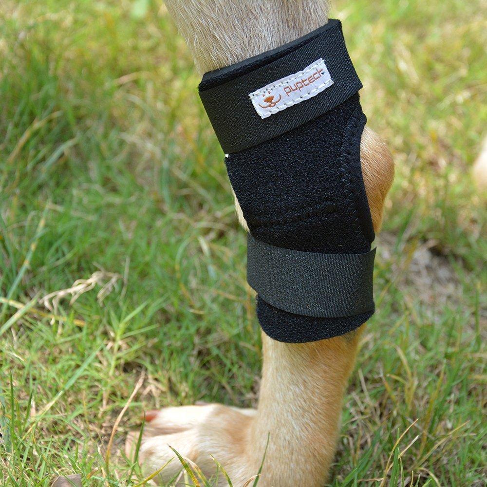 Knee Support Straps Dog Knee Brace Happy Paws 