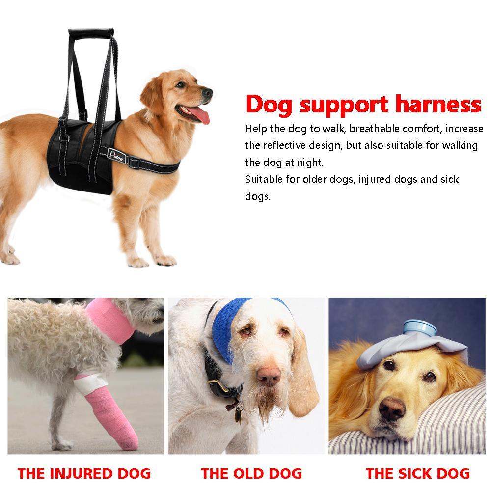 Lift Support Spine Harness Dog Spine Support Brace Happy Paws 