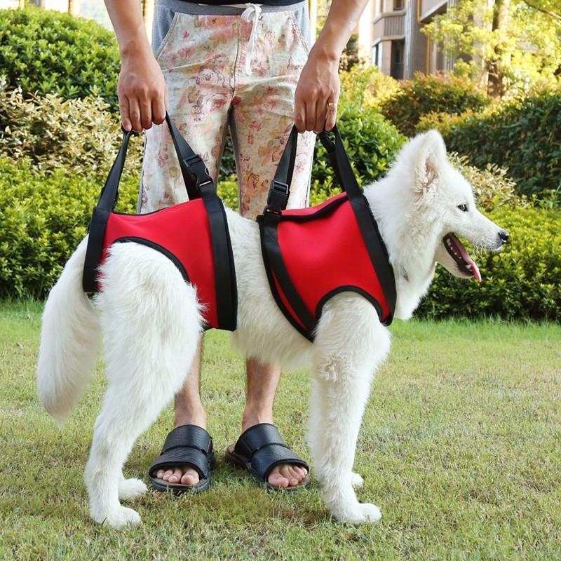 Lift Support Spine Harness Dog Spine Support Brace Happy Paws 