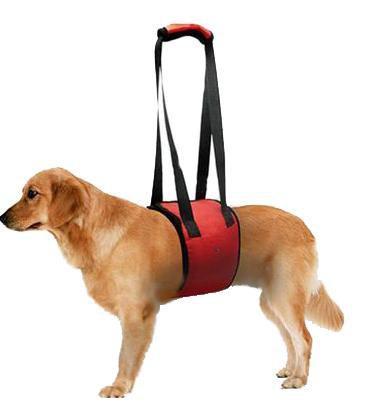 Lift Support Spine Harness Dog Spine Support Brace Happy Paws 