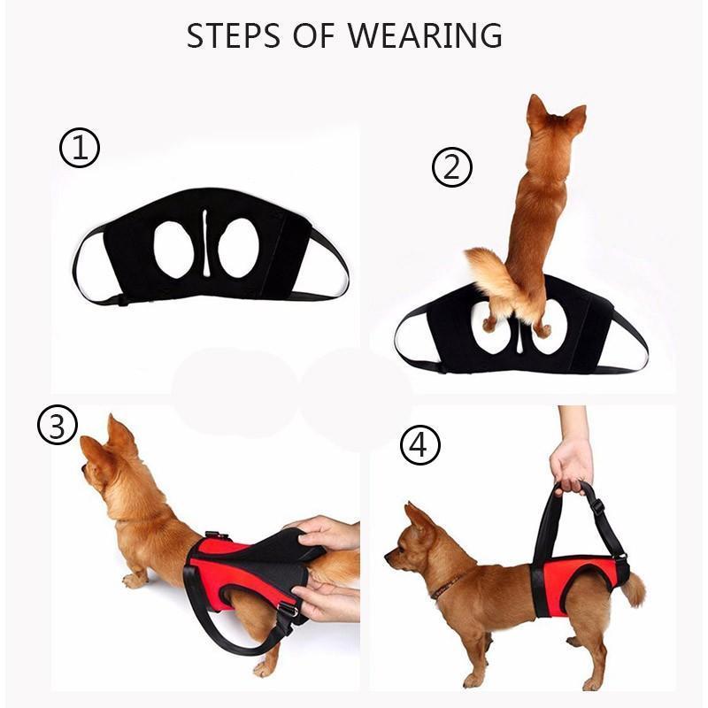 Lift Support Spine Harness Dog Spine Support Brace Happy Paws 
