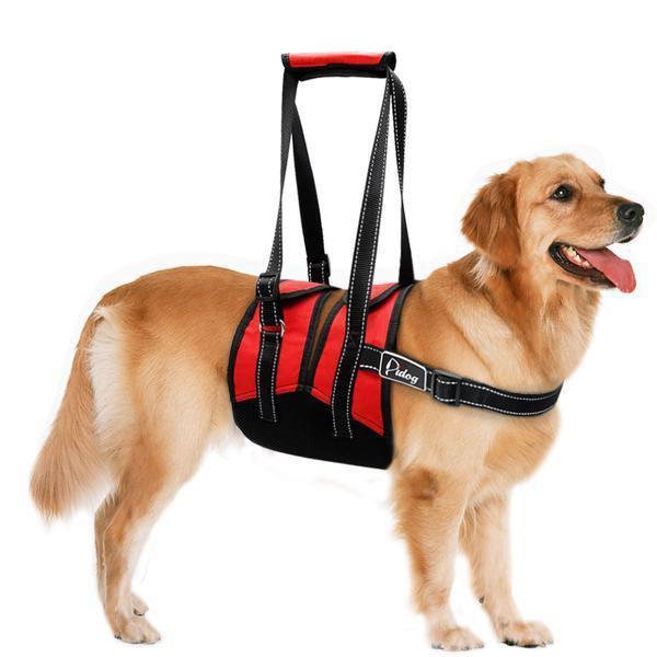 Lift Support Spine Harness Dog Spine Support Brace Happy Paws 