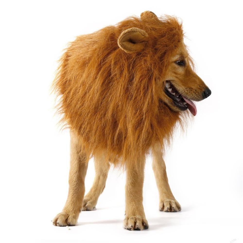 Lion King Mane Dog Cap Happy Paws 