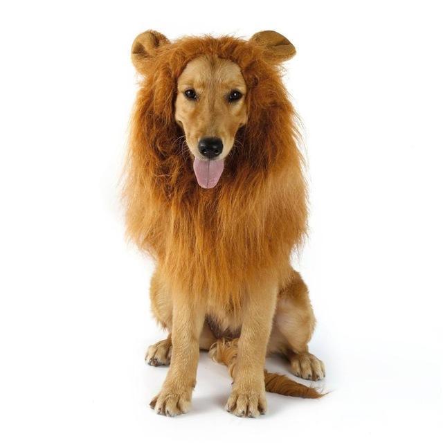 Lion King Mane Dog Cap Happy Paws With Ears 