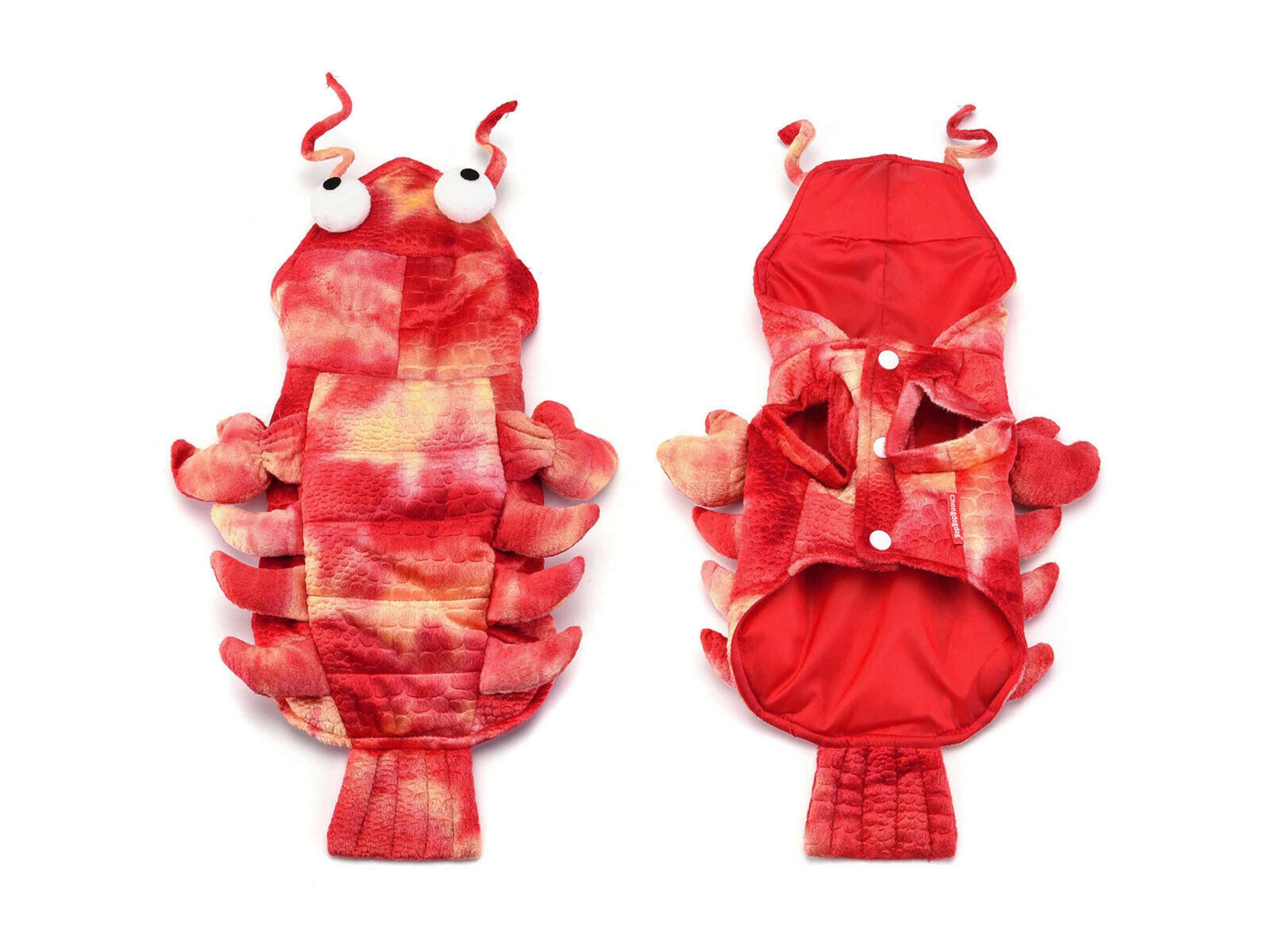 Lobster Costume Dog Apparel Happy Paws Online 