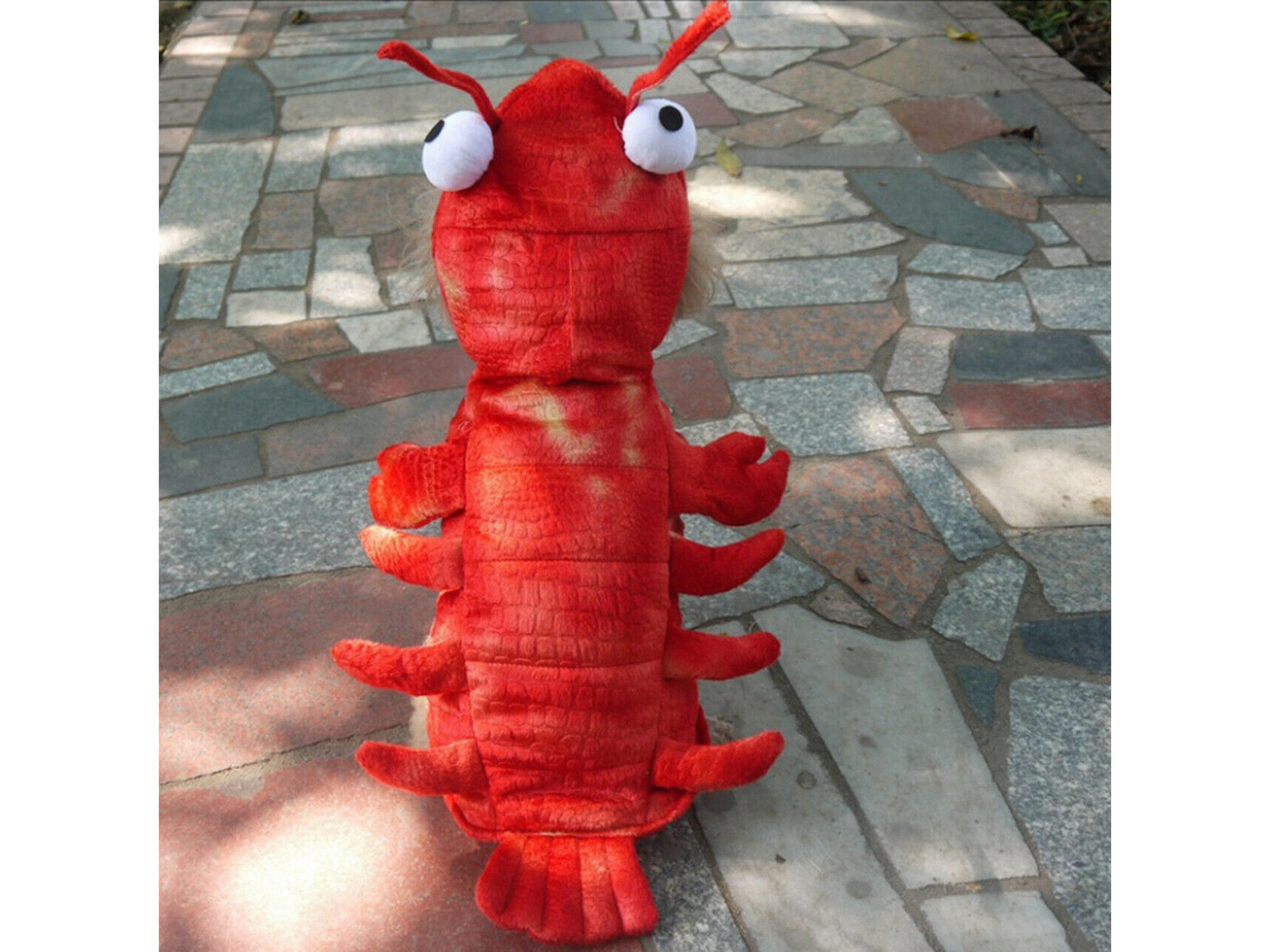 Lobster Costume Dog Apparel Happy Paws Online 