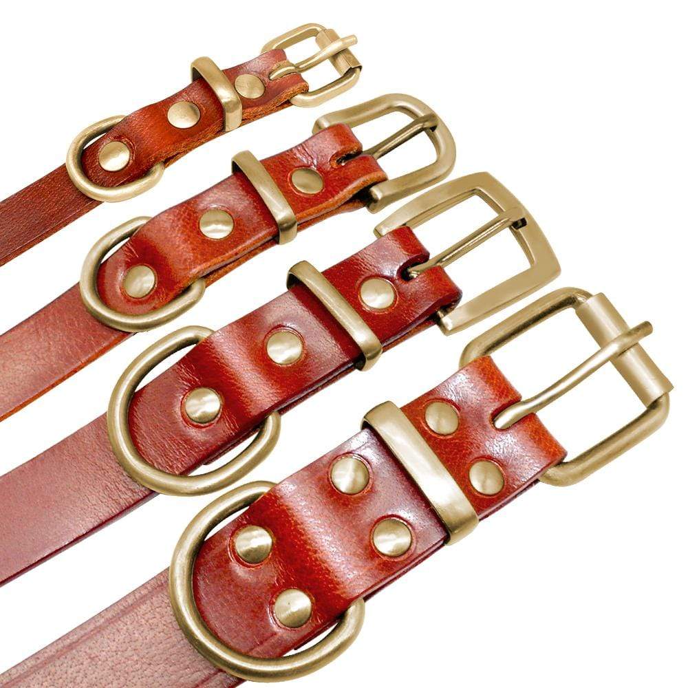 Personalized Leather Collar Dog collar Happy Paws Online 