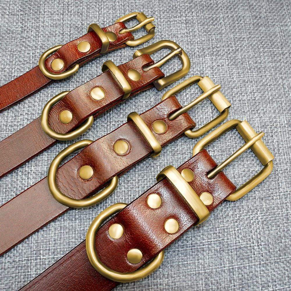 Personalized Leather Collar Dog collar Happy Paws Online 