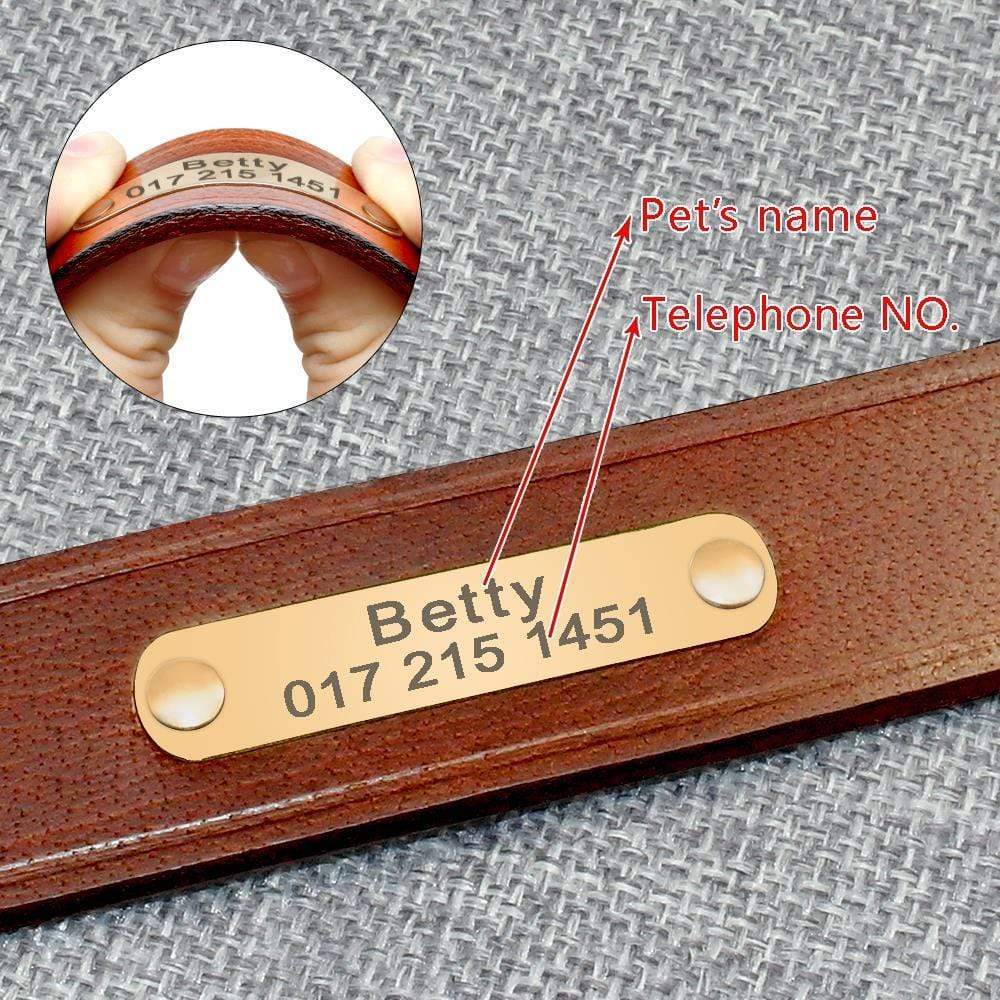 Personalized Leather Collar Dog collar Happy Paws Online 