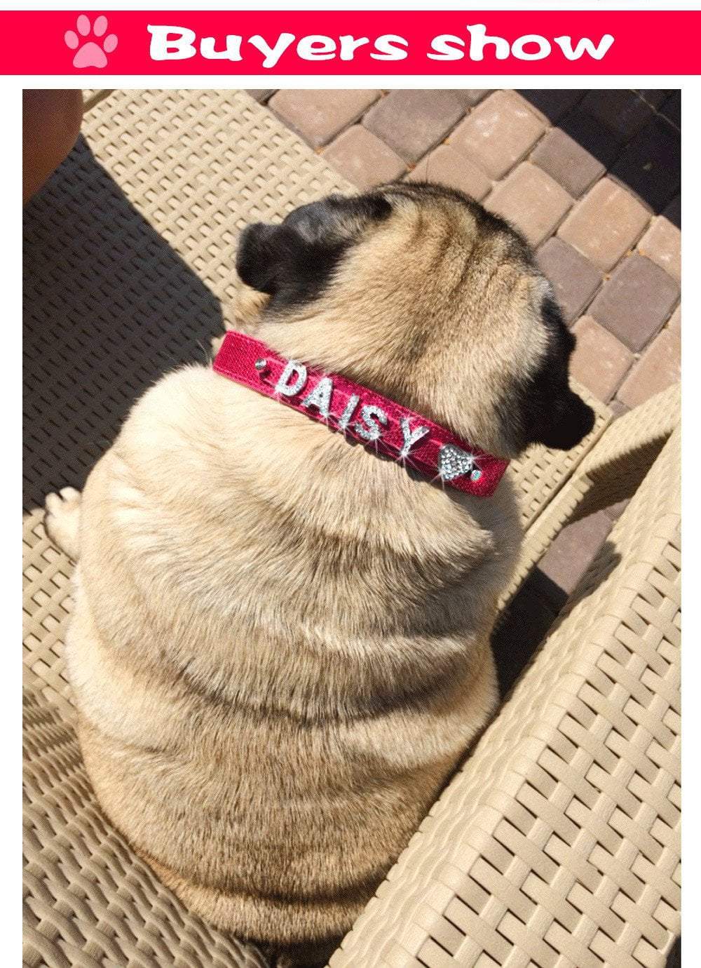 Personalized Rhinestone Collar Dog collar Happy Paws 