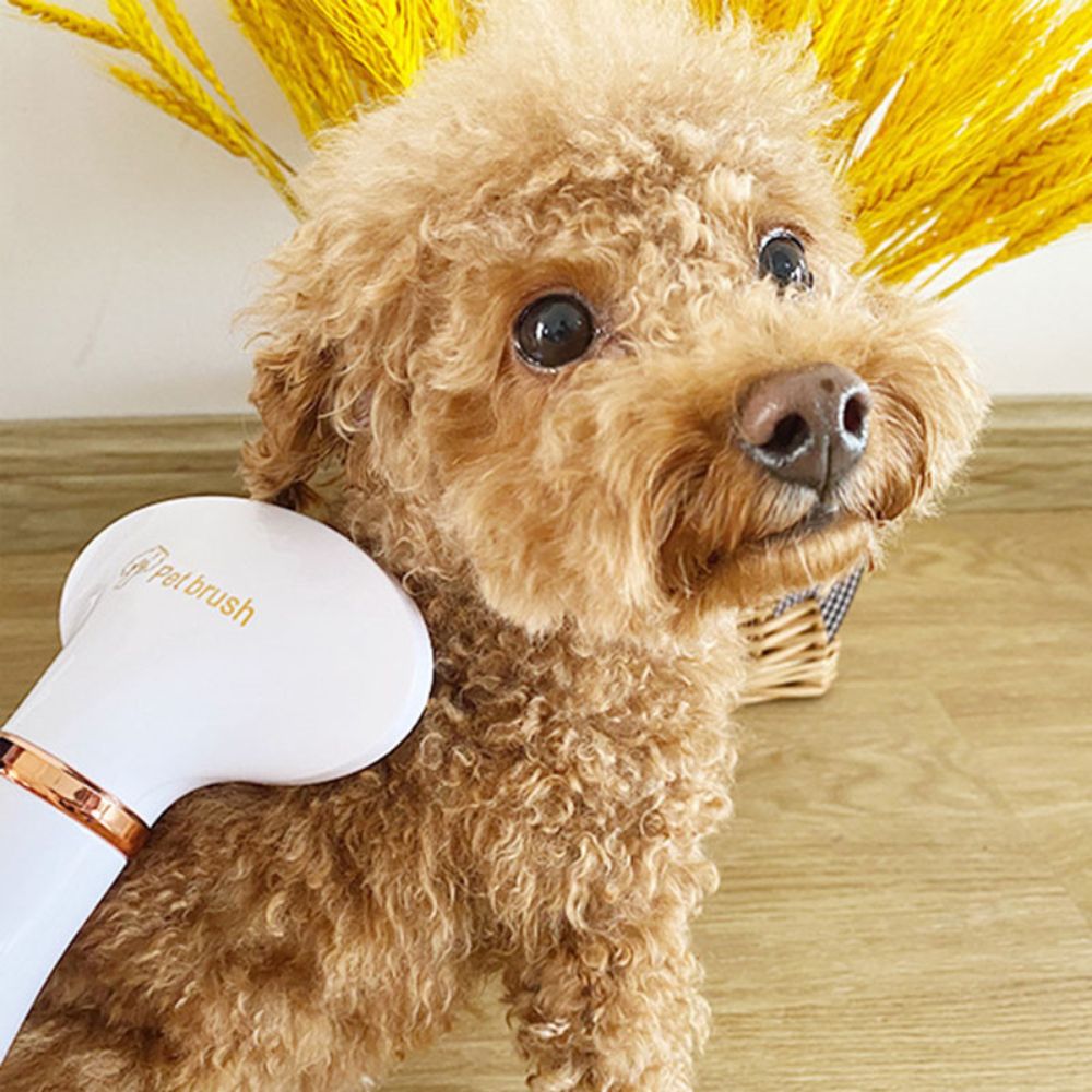 Pet Comb Hair Dryer