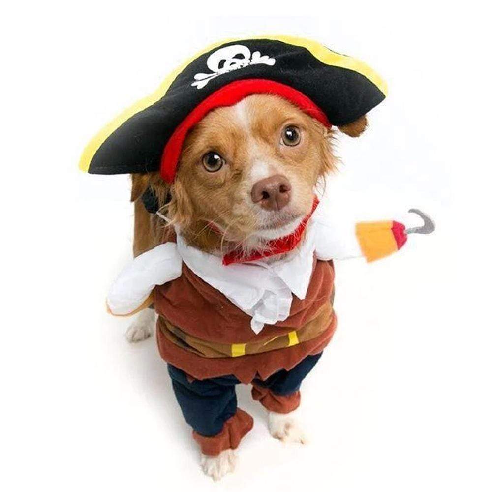 Pirates of The Caribbean Costume Dog Halloween Costume Happy Paws Online 