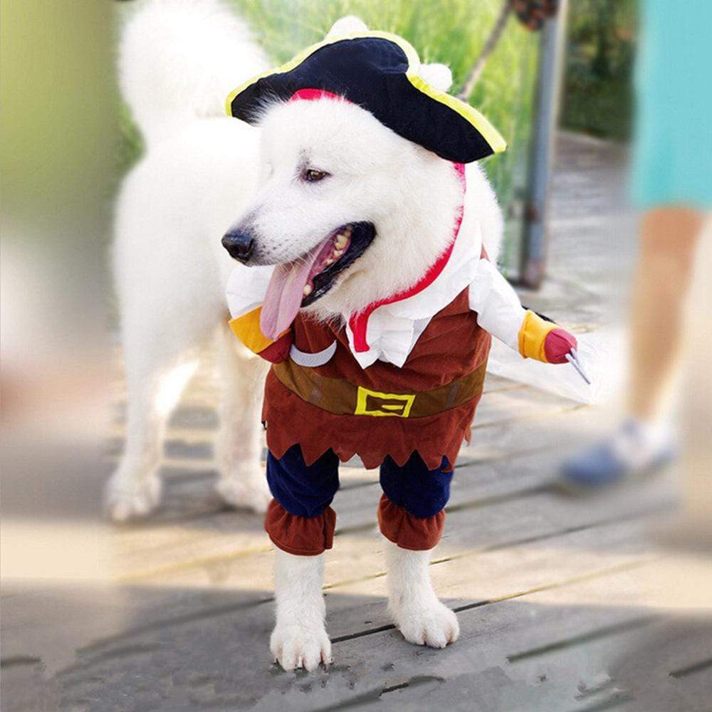 Pirates of The Caribbean Costume Dog Halloween Costume Happy Paws Online 
