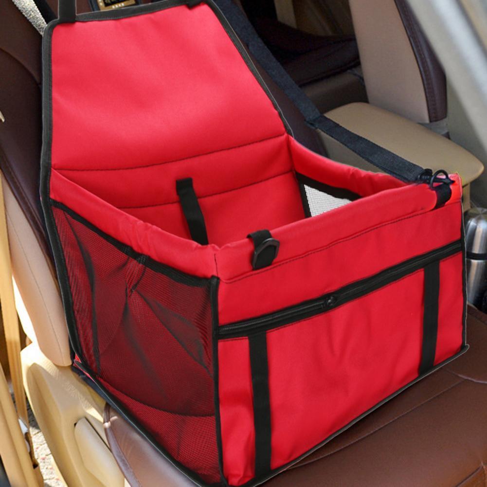 Portable Carrier & Car Seat.