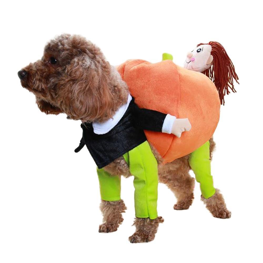 Pumpkin Delivery Costume Dog Halloween Costume Happy Paws Online 