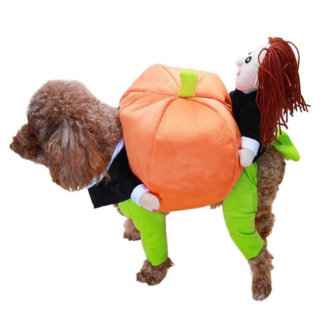 Pumpkin Delivery Costume Dog Halloween Costume Happy Paws Online Large 