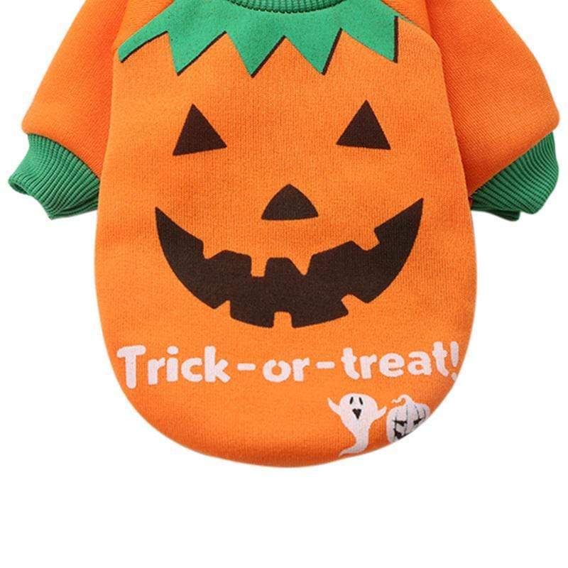 Pumpkin Halloween Dog Halloween Costume Happy Paws Online 
